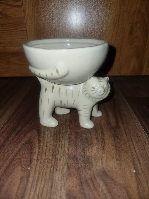 Buy & Sell Bournville Birmingham - Photos for Flower Pot Tiger