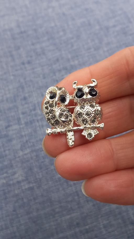 Buy & Sell Lyppard Woodgreen Worcester - Photos for brooch