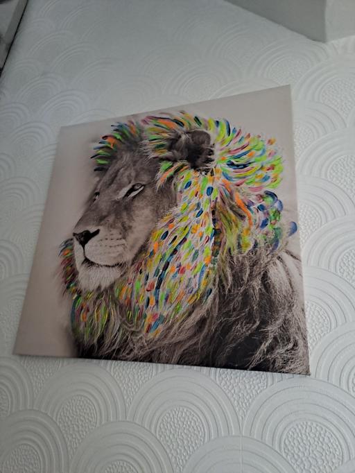 Buy & Sell Gleadless Valley Sheffield - Photos for glizy lion picture canvas