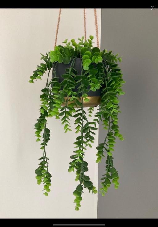 Buy & Sell Telford Way Industrial Estate North Northamptonshire - Photos for Artificial hanging plant