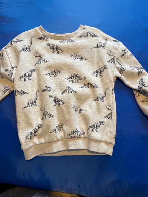 Buy & Sell Rowley Village Sandwell - Photos for Age 5-6 years dinosaur jumper