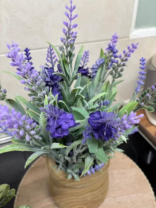 Buy & Sell Bartley Green Birmingham - Photos for Bundle of artificial plants