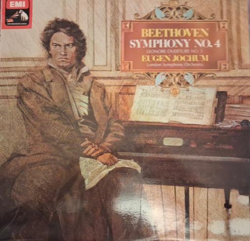 Buy & Sell Cann Dorset - Photos for Beethoven