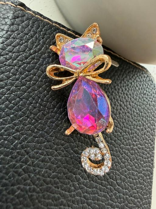 Buy & Sell Ocean Village Southampton - Photos for Gorgeous iridescent cat brooch