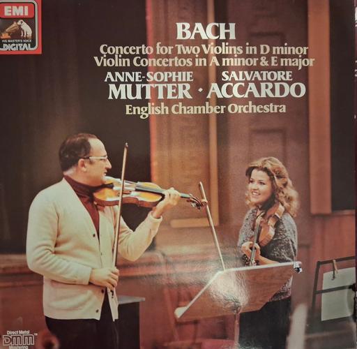 Buy & Sell Shaftesbury Dorset - Photos for Bach