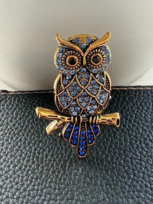 Buy & Sell Ocean Village Southampton - Photos for 1x Diamante owl brooch in 2 colour options