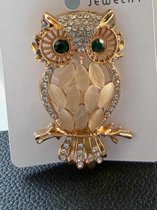 Buy & Sell Ocean Village Southampton - Photos for Stunning owl brooch in 2 colour options