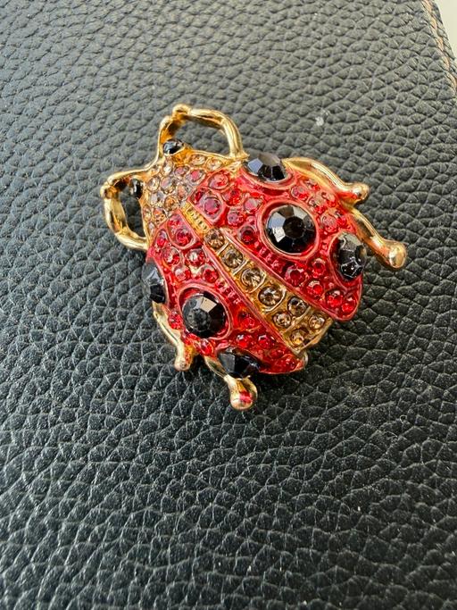 Buy & Sell Ocean Village Southampton - Photos for Ladybird brooch