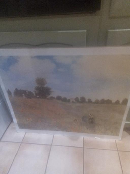 Buy & Sell Streetly Walsall - Photos for PICTURE WUD NEED FRAME