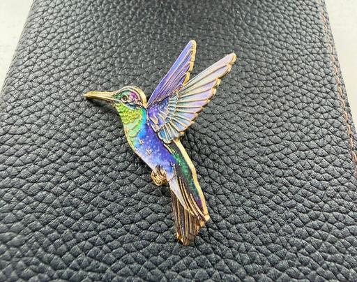 Buy & Sell Sholing Southampton - Photos for Hummingbird brooch