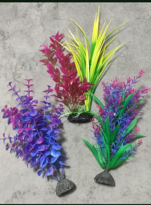 Buy & Sell Grafton Street Industrial Estate West Northamptonshire - Photos for Artificial aquarium plants