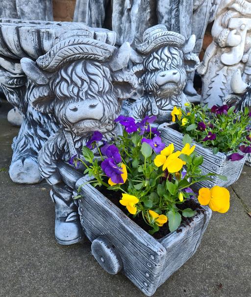 Buy & Sell Moseley Birmingham - Photos for Highland Cow Planter