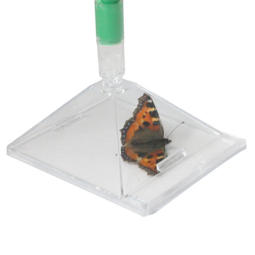 Buy & Sell Sidcup Bexley - Photos for Katcha Bug