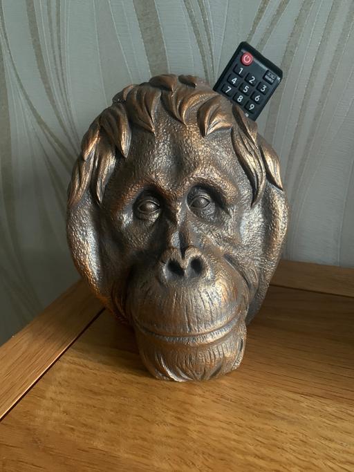 Buy & Sell Woodcross Wolverhampton - Photos for Orangutan remote holder
