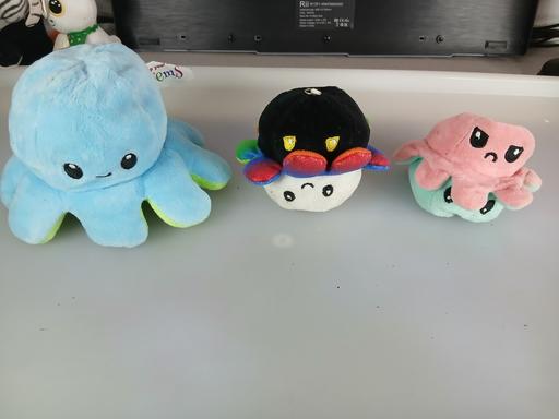 Buy & Sell Fulwood Preston - Photos for octopus