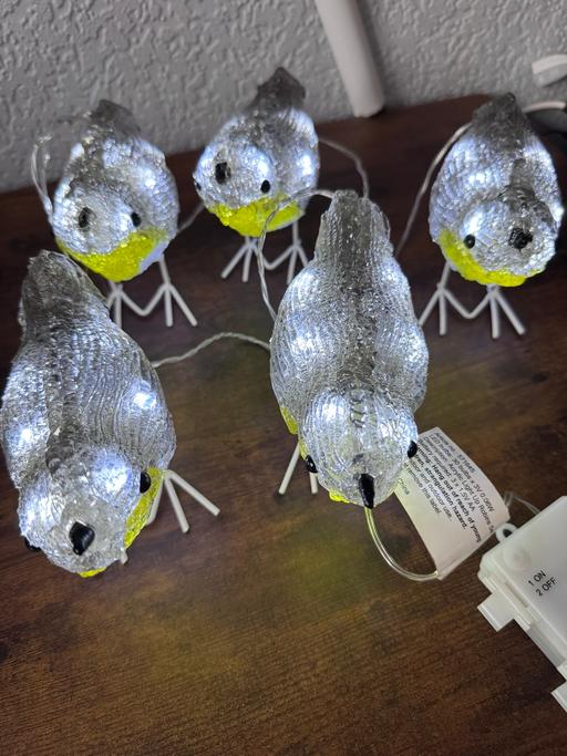 Buy & Sell Bells Mill Dudley - Photos for Christmas lights, Acrylic light up robins