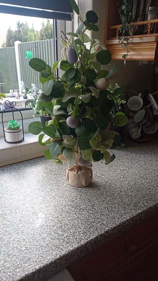 Buy & Sell Great Bridge Sandwell - Photos for Easter tree