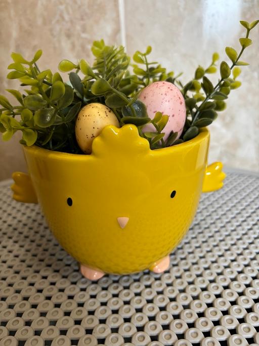 Buy & Sell Golds Hill Sandwell - Photos for Easter plant