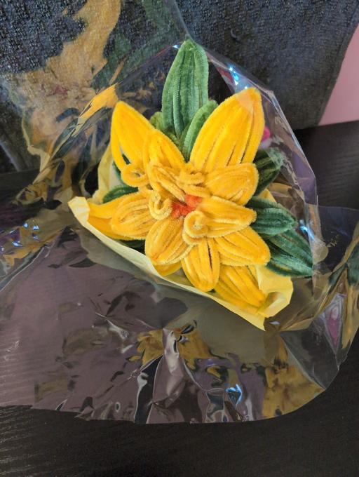 Buy & Sell Gedney Dyke South Holland - Photos for PIPE CLEANER FLOWER ARRANGEMENT