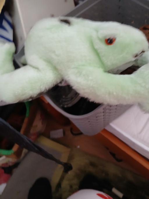 Buy & Sell Netherton Dudley - Photos for merry thought frog