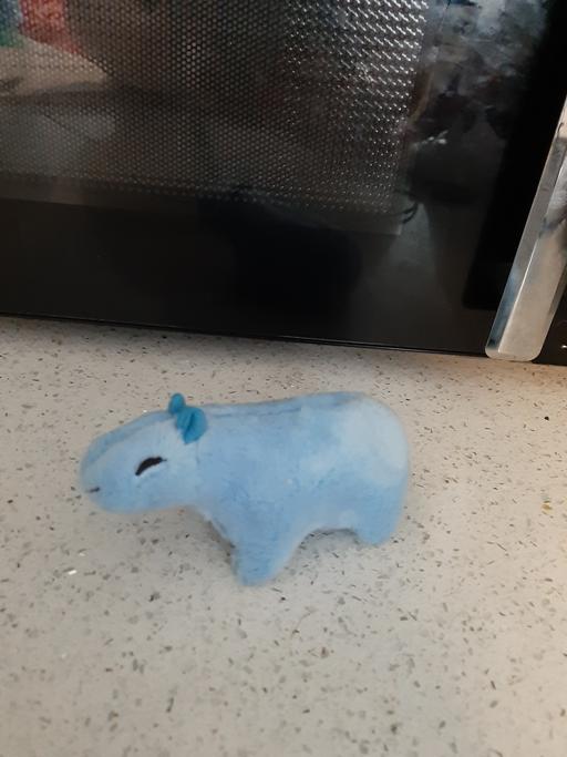 Buy & Sell South Hylton Sunderland - Photos for capybara