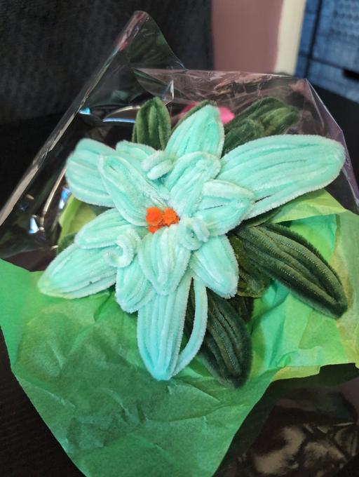 Buy & Sell Gedney Dyke South Holland - Photos for PIPE CLEANER FLOWER ARRANGEMENT.