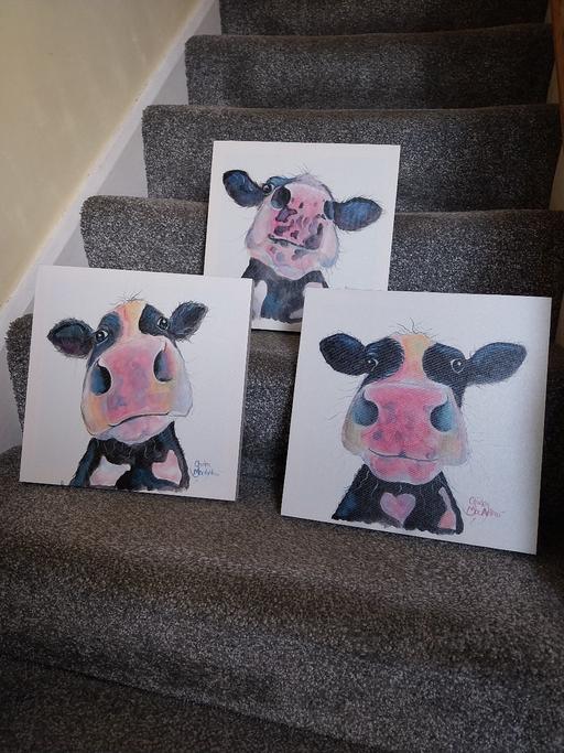 Buy & Sell Willenhall Walsall - Photos for 3 Shirley Macarthur Cute Cow Canvas