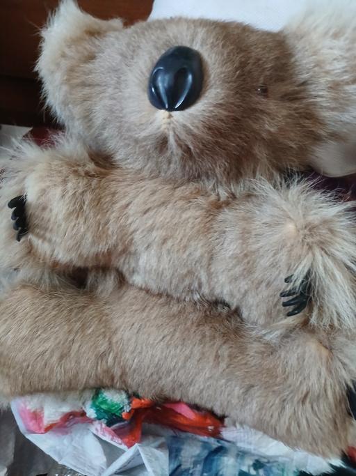 Buy & Sell Netherton Dudley - Photos for Australian colla bear