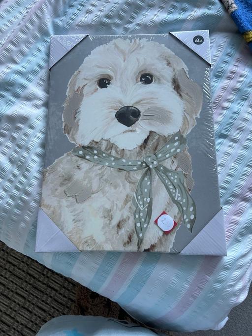 Buy & Sell Whiston Knowsley - Photos for Dog canvas