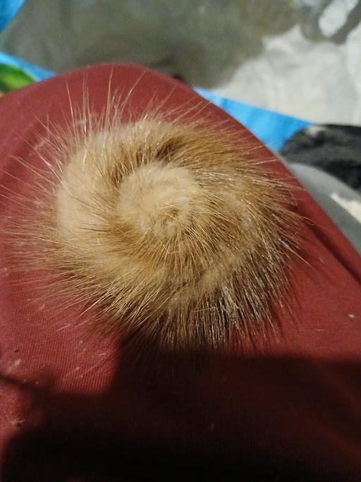 Buy & Sell Netherton Dudley - Photos for mink broch retro