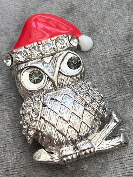Buy & Sell Rottingdean Brighton - Photos for Beautiful owl brooch