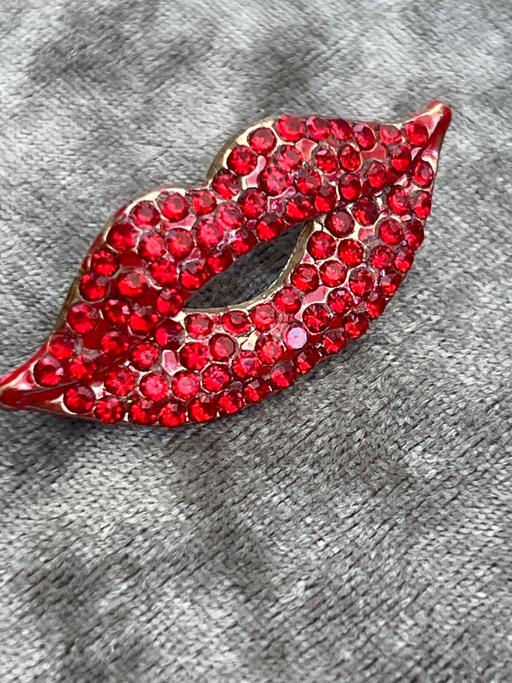 Buy & Sell Ovingdean Brighton - Photos for Beautiful red lips brooch