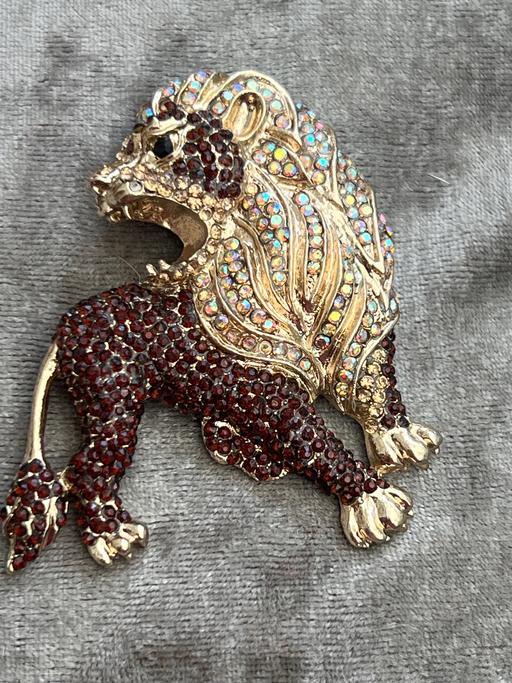 Buy & Sell Ovingdean Brighton - Photos for Beautiful large brooch/pendant