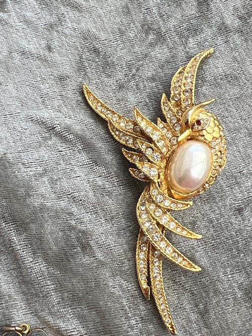 Buy & Sell Ovingdean Brighton - Photos for Beautiful large bird brooch