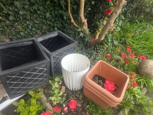 Buy & Sell Hall Green Birmingham - Photos for garden chair and pots