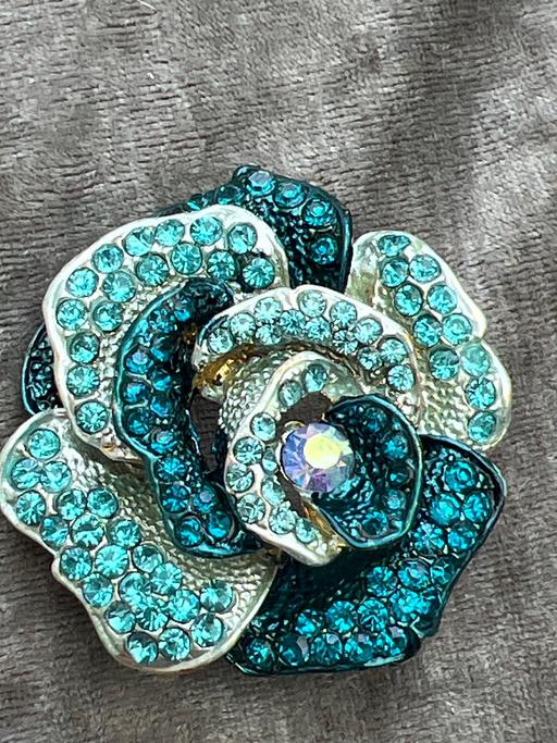 Buy & Sell Ovingdean Brighton - Photos for Lovely brooch