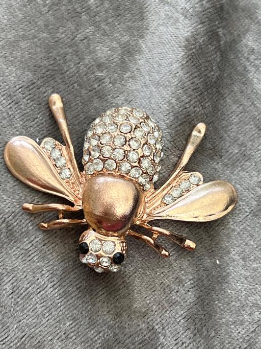 Buy & Sell Ovingdean Brighton - Photos for Lovely brooch