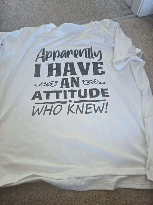 Buy & Sell Waddington North Kesteven - Photos for womens attitude tshirt xxl