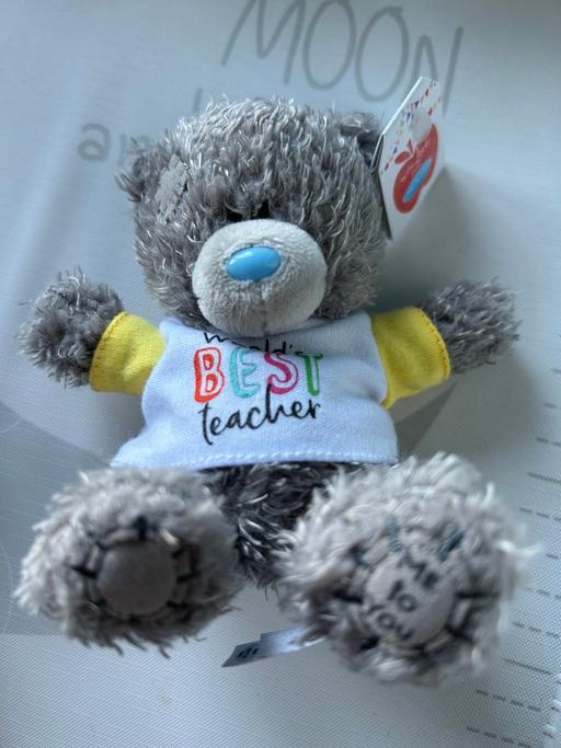 Buy & Sell Tyseley Birmingham - Photos for Best teacher Teddy