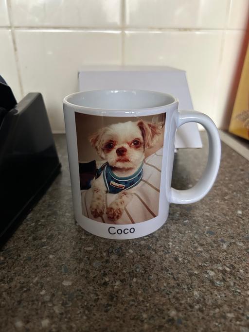 Buy & Sell Brinsworth Rotherham - Photos for Personalised pet mug any image any name brand