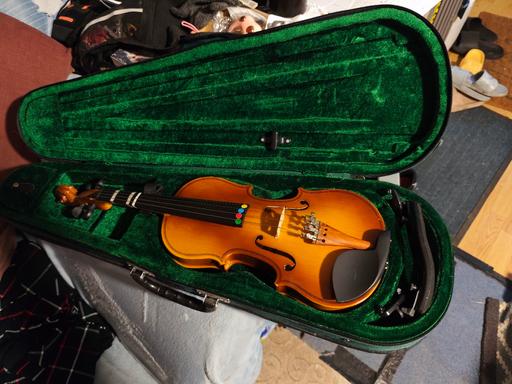 Buy & Sell Stroud Green North London - Photos for viola