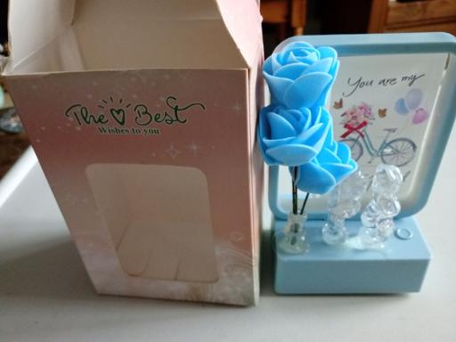 Buy & Sell Horncastle East Lindsey - Photos for brand new gift boxed ornamental light