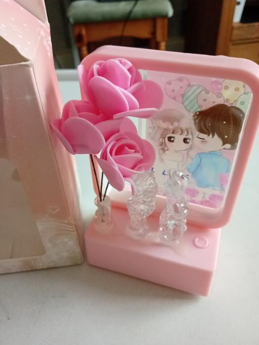 Buy & Sell Horncastle East Lindsey - Photos for brand new gift 🎁 ornamental light