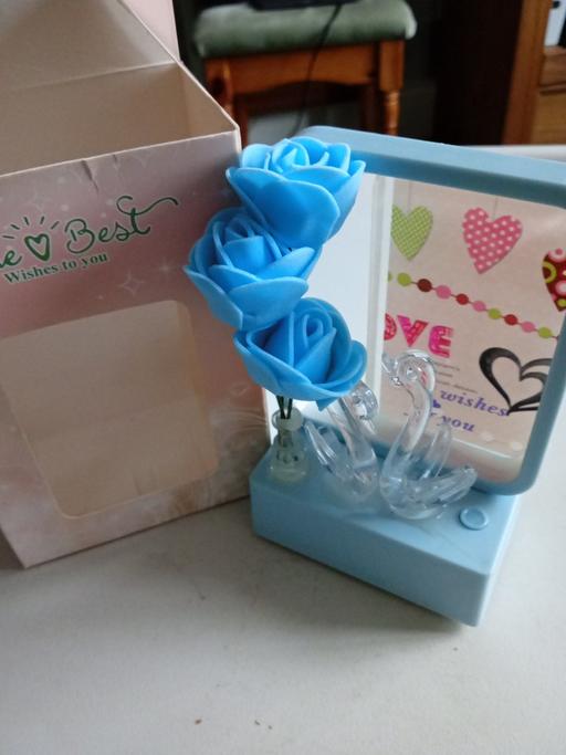 Buy & Sell Horncastle East Lindsey - Photos for brand new gift 🎁 ornamental light