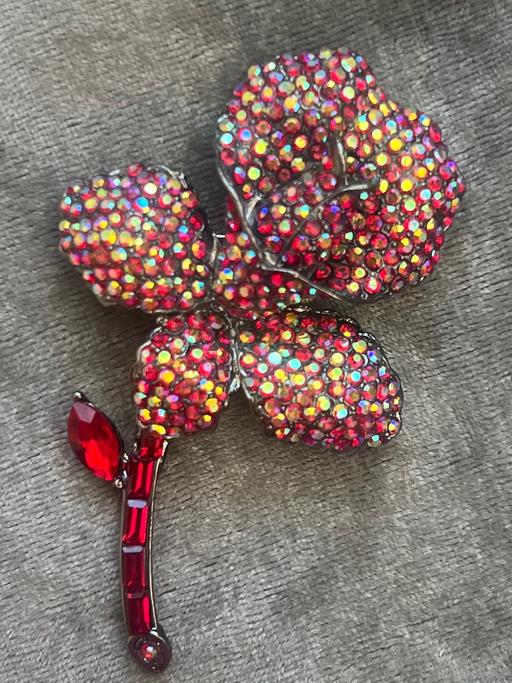 Buy & Sell Ovingdean Brighton - Photos for Beautiful brooch