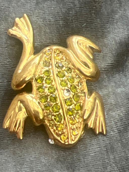 Buy & Sell Ovingdean Brighton - Photos for Lovely frog brooch
