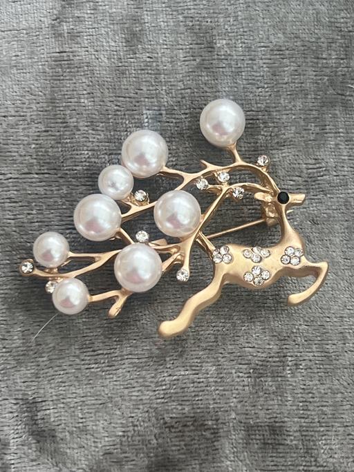 Buy & Sell Rottingdean Brighton - Photos for Beautiful brooch