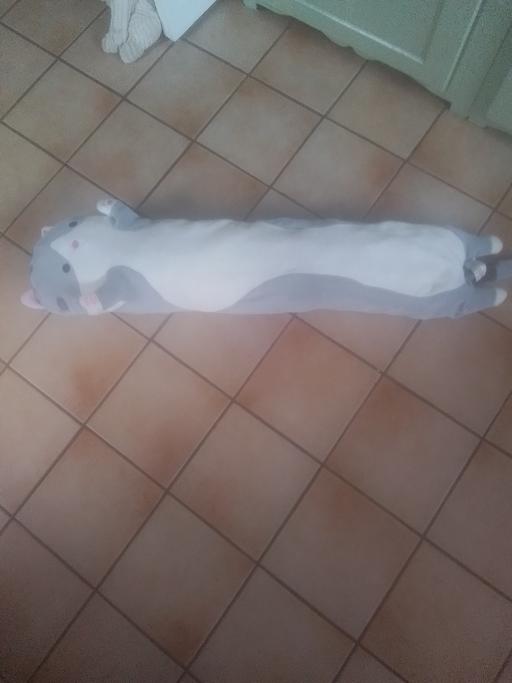 Buy & Sell Aldridge Walsall - Photos for PURRRFECT PLUSH