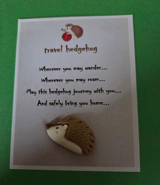 Buy & Sell Westgate-on-Sea Thanet - Photos for HEDGEHOG TRAVEL HUG