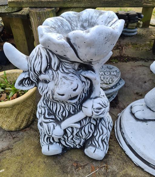 Buy & Sell Moseley Birmingham - Photos for Highland Cow with Flower